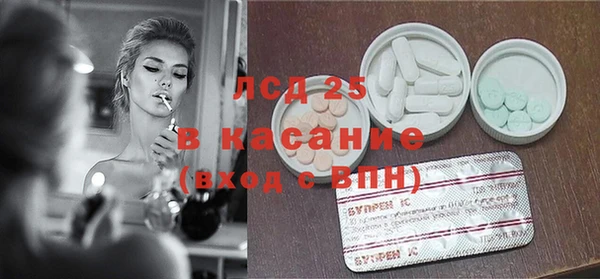 PSILOCYBIN Аркадак